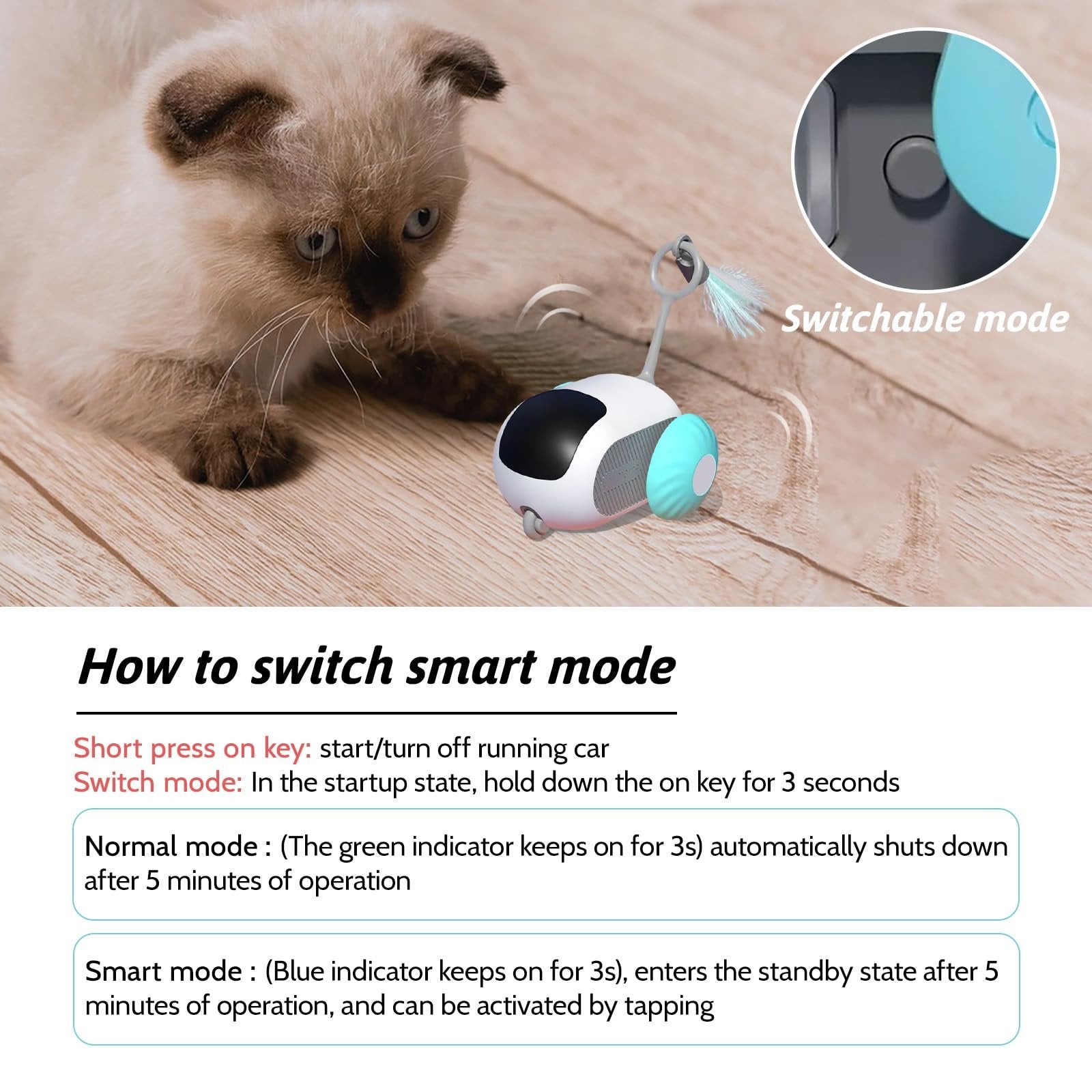 Interactive Cat Toys