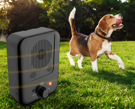 Anti-Bark Device That Trains Your Dog