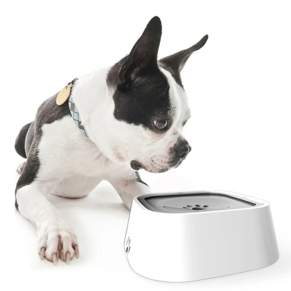 Large Capacity Anti-Overflow Dog Drinking Water Bowl