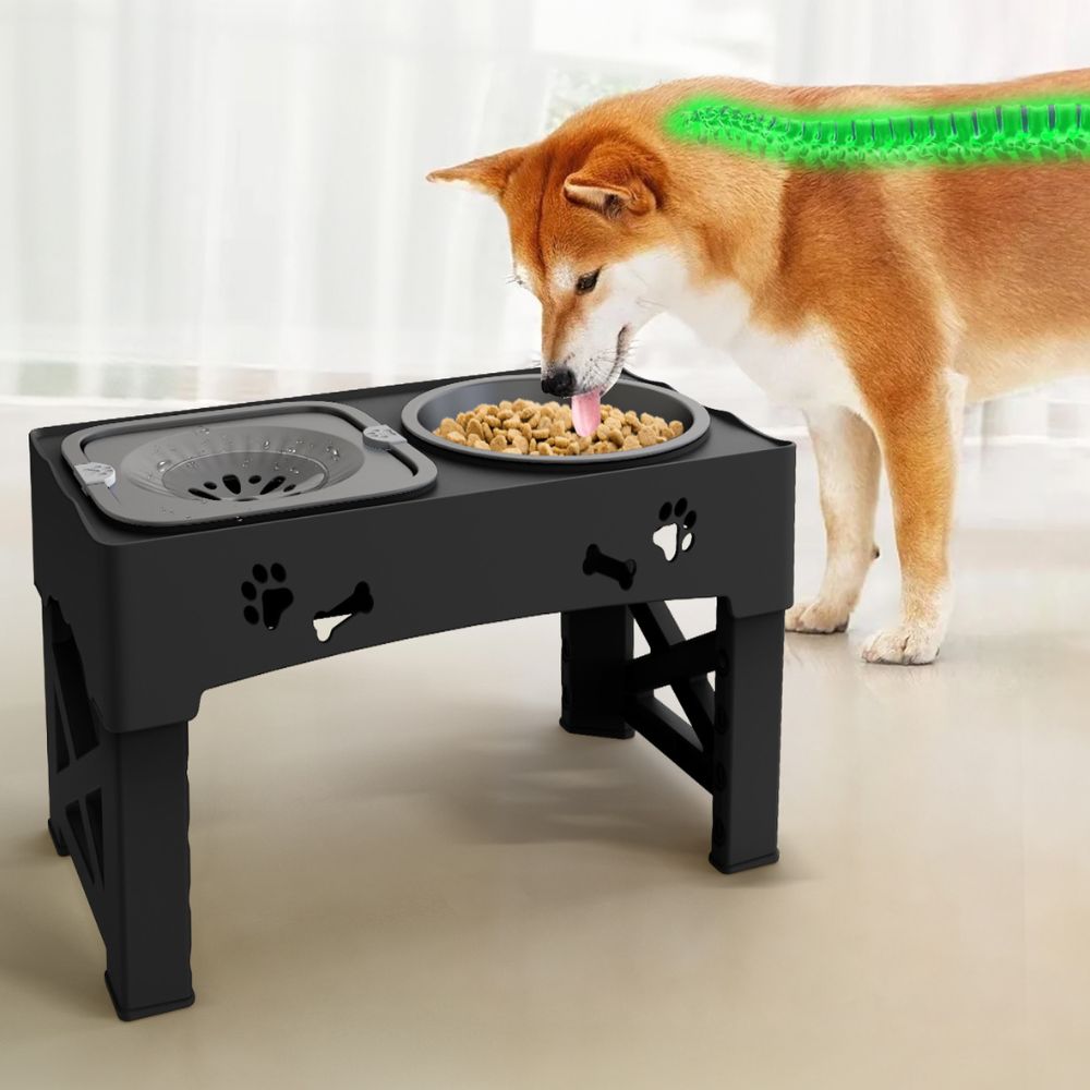 Adjustable Raised Pet Dog Slow Feeder