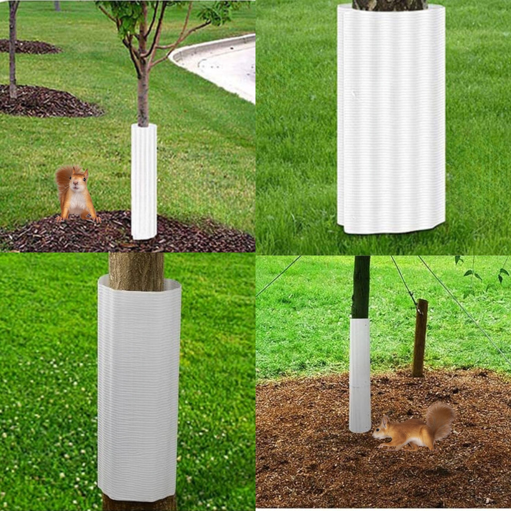 Squirrel Baffle For Trees - 6 Pack