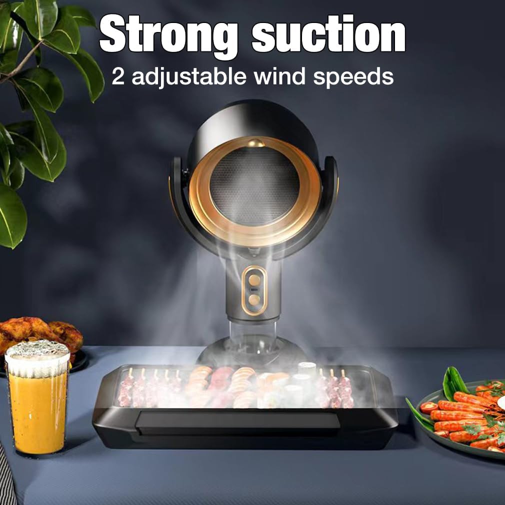 Portable Range Hood