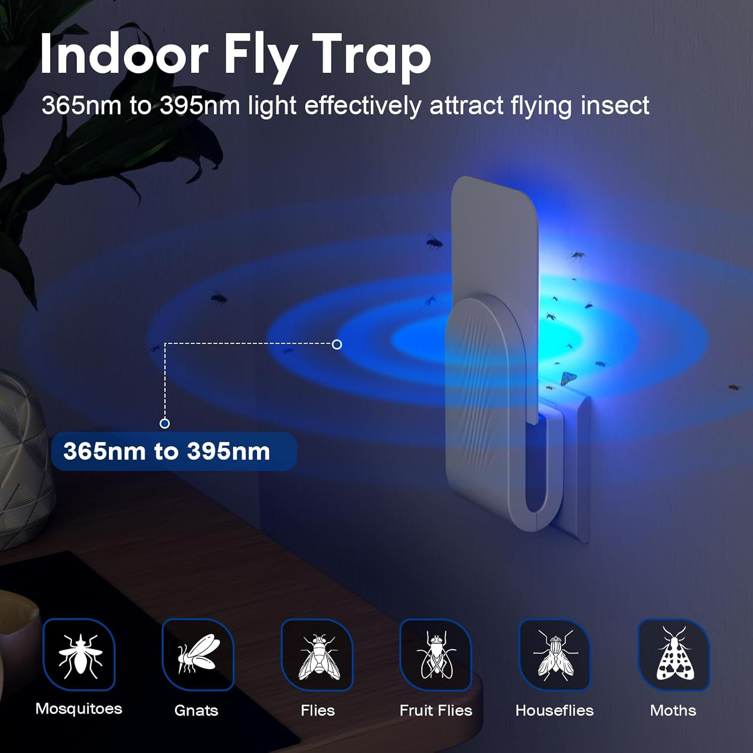 Indoor Fly Trap