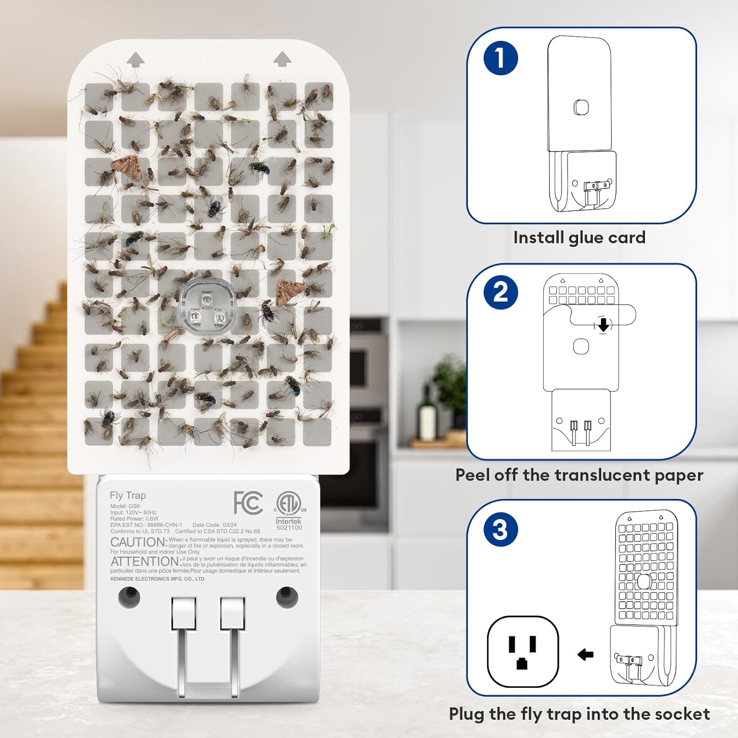 Indoor Fly Trap