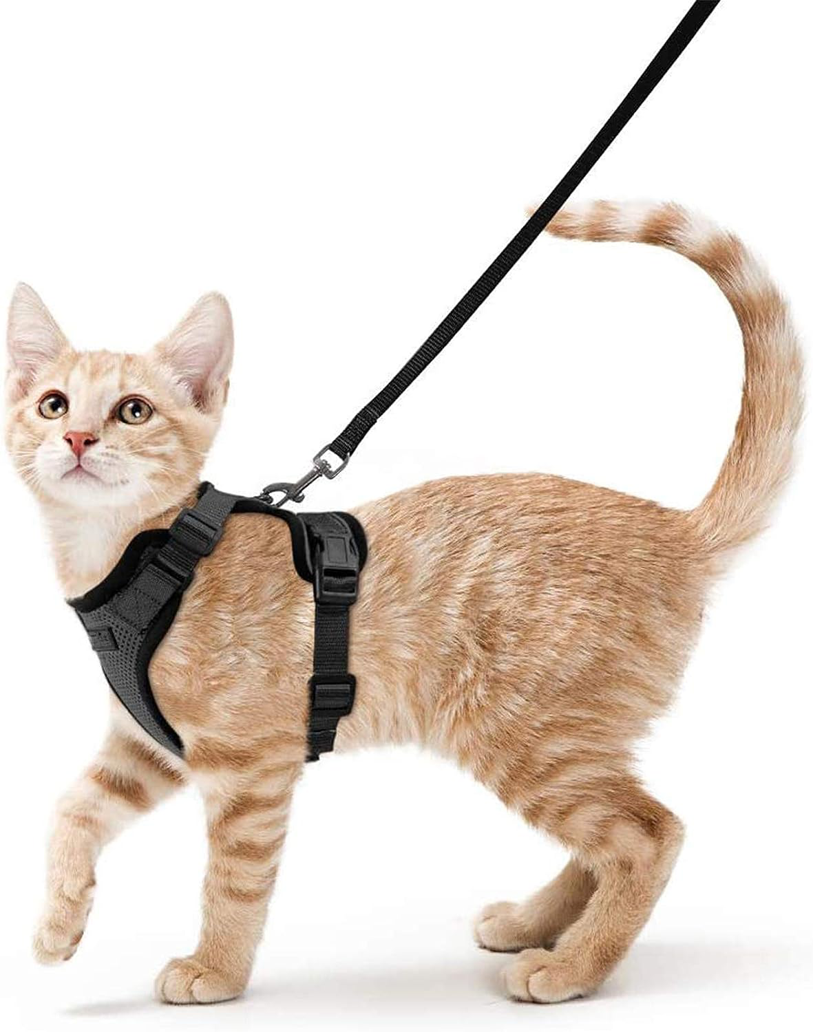 Escape Proof Cat Harness