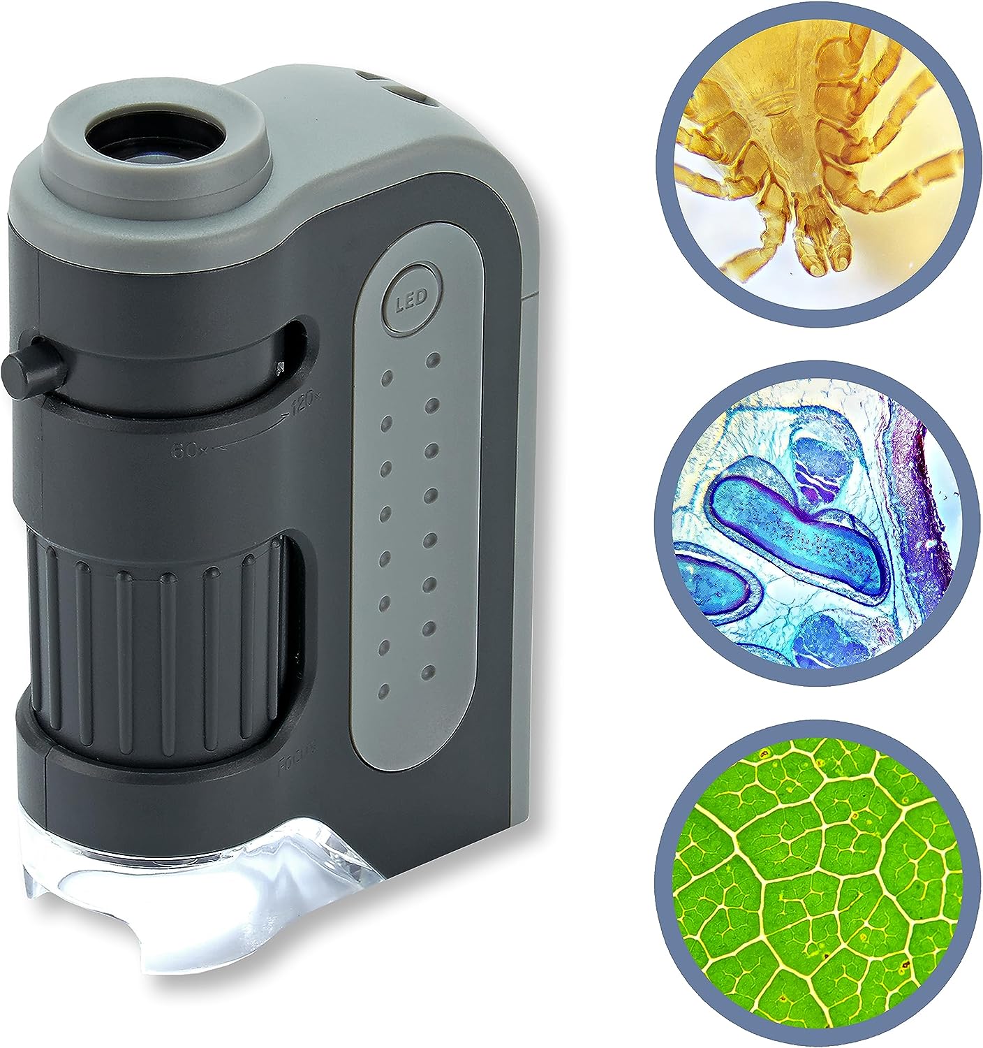 Portable Handheld Pocket Microscope – Verniershop