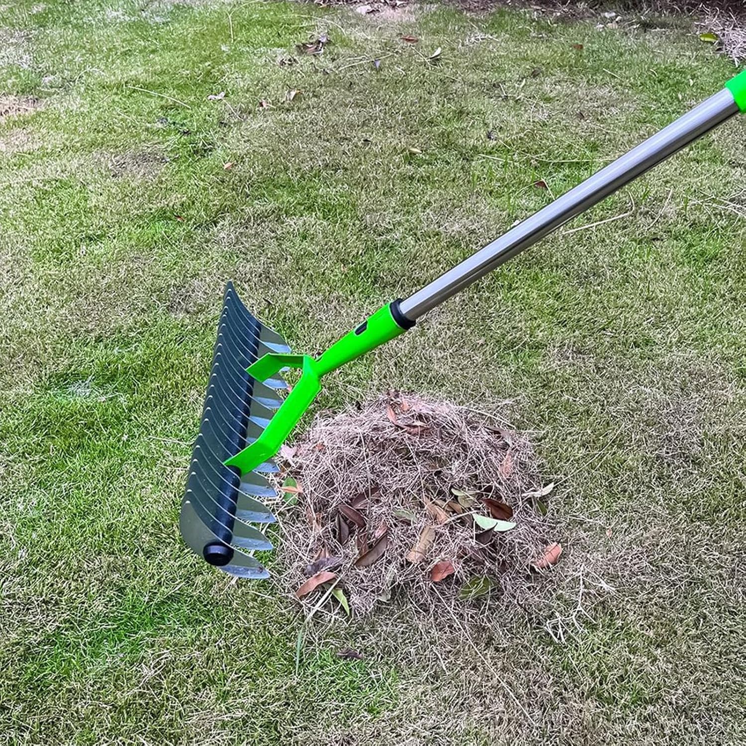 Long Reach Thatch Rake for Dethatching Dead Grass