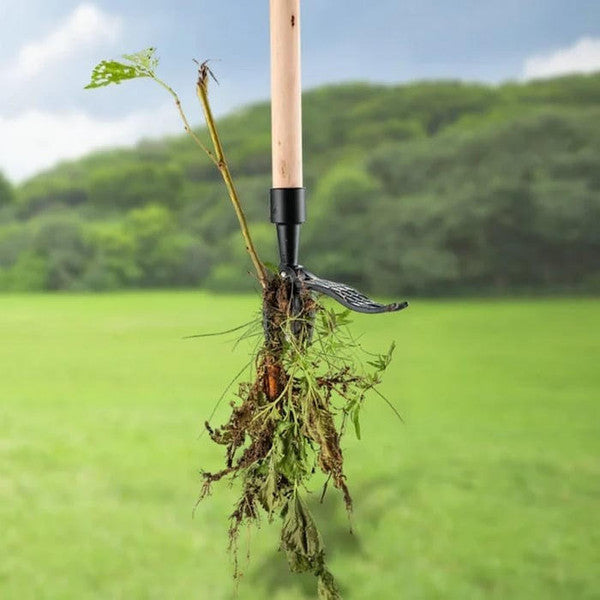 Mechanical Weeder