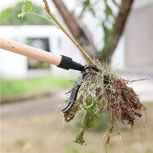 Mechanical Weeder