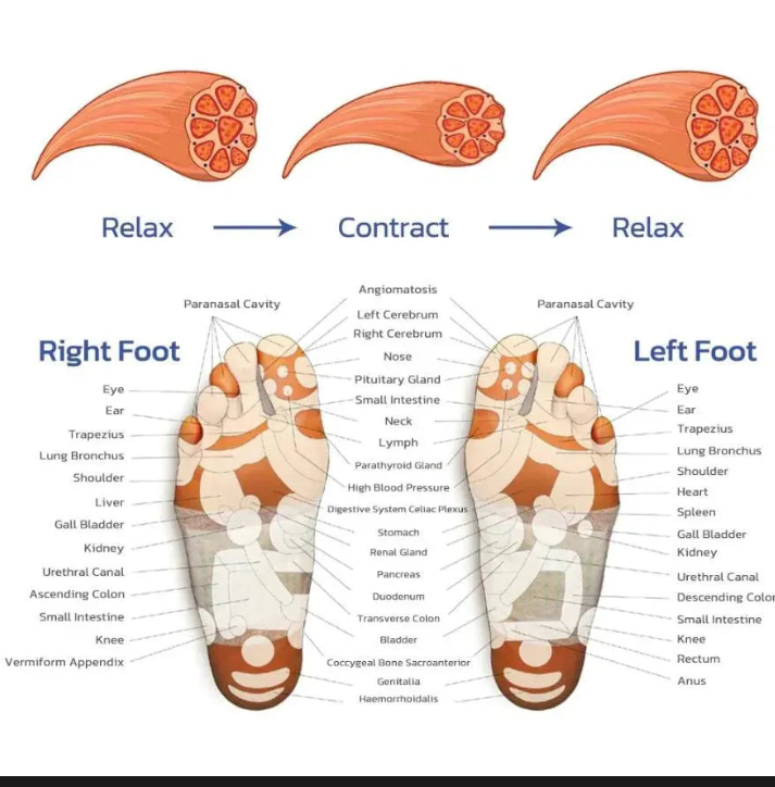 Rechargeable Heated Foot Massager