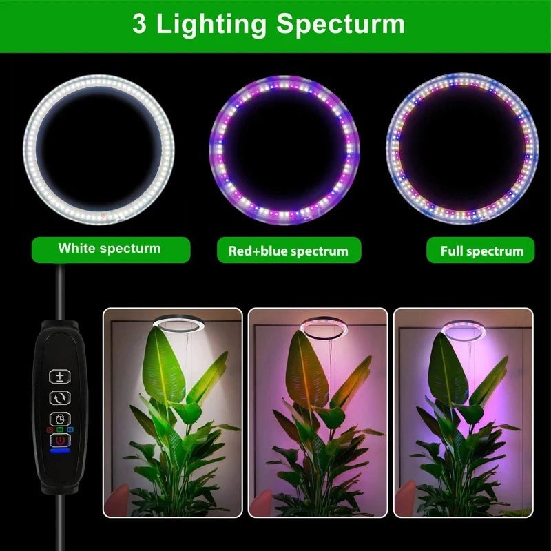 Grow Light For Indoor Plants