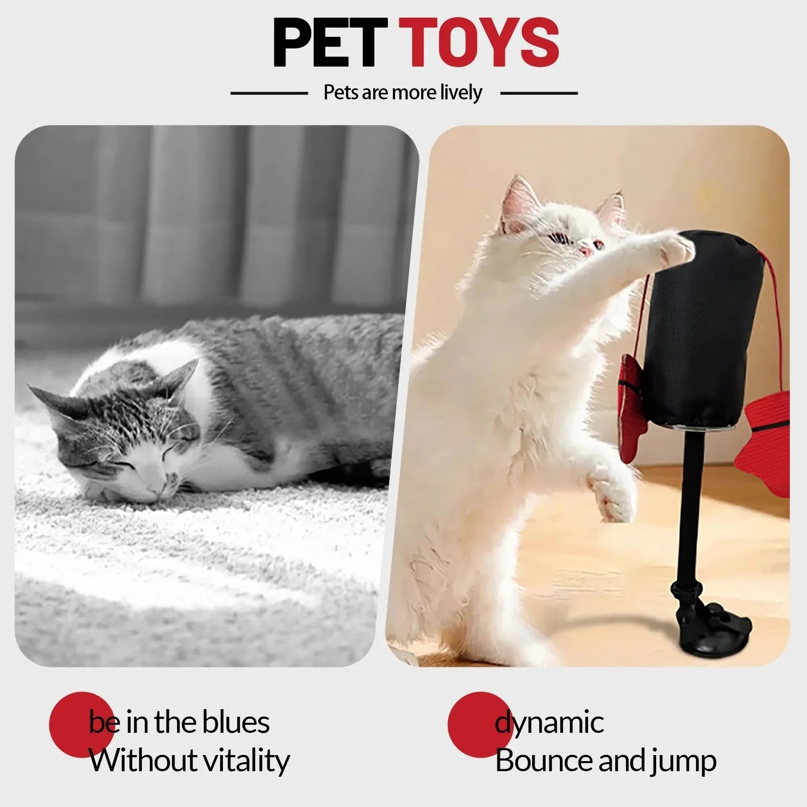 Cat Toys