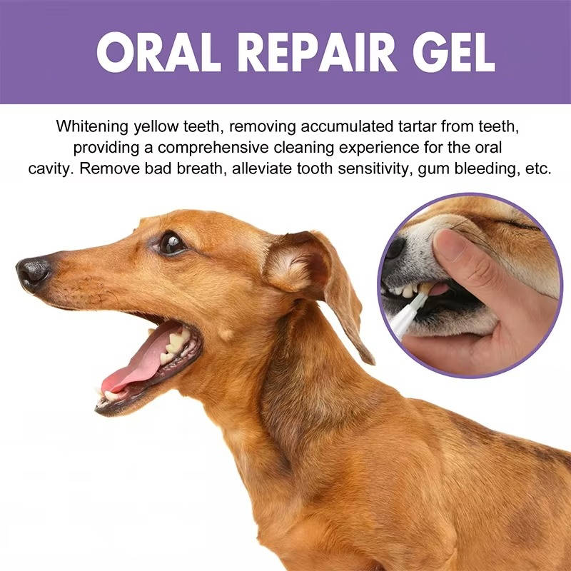 3 Set Dog Oral Repair Gel