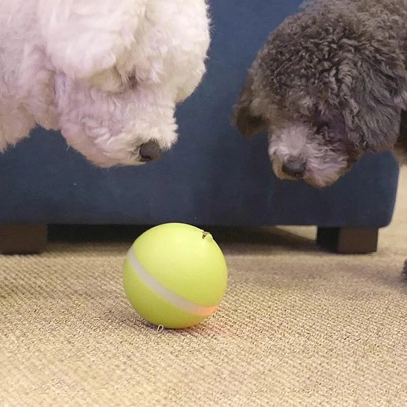 Magic Ball Pet Motion Toy
