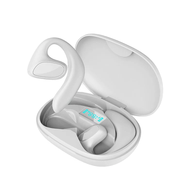 Language Translator Earbuds