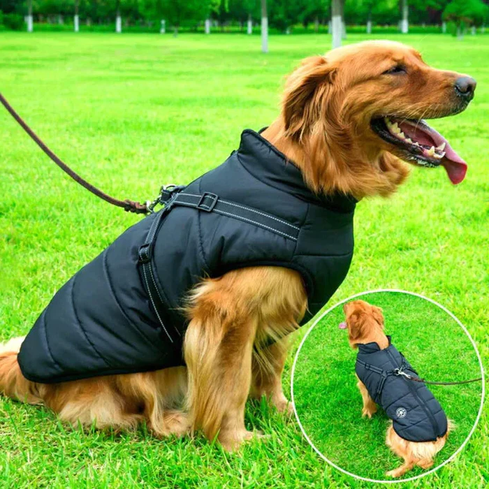 Waterproof Winter Dog Jacket - Sherpa-Fleece Lined - Built-in Harness