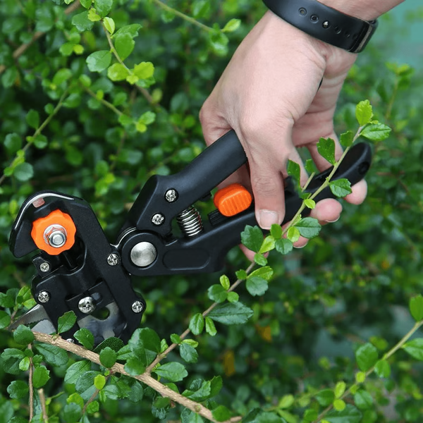 Professional Grafting & Pruning Tool