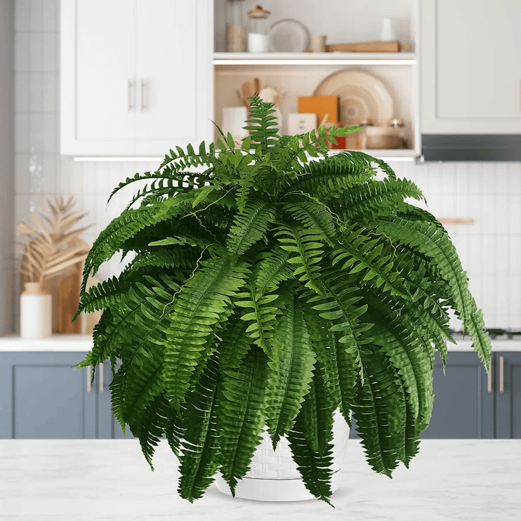 UV Resistant Lifelike Artificial Boston Fern For Outdoors