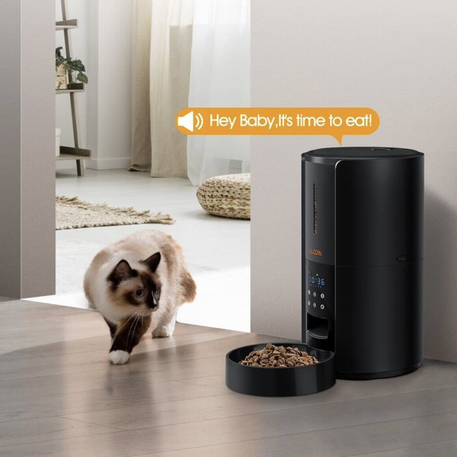 Exclusive Large Automatic Dog Cat Time Pet Food Feeder Dispenser