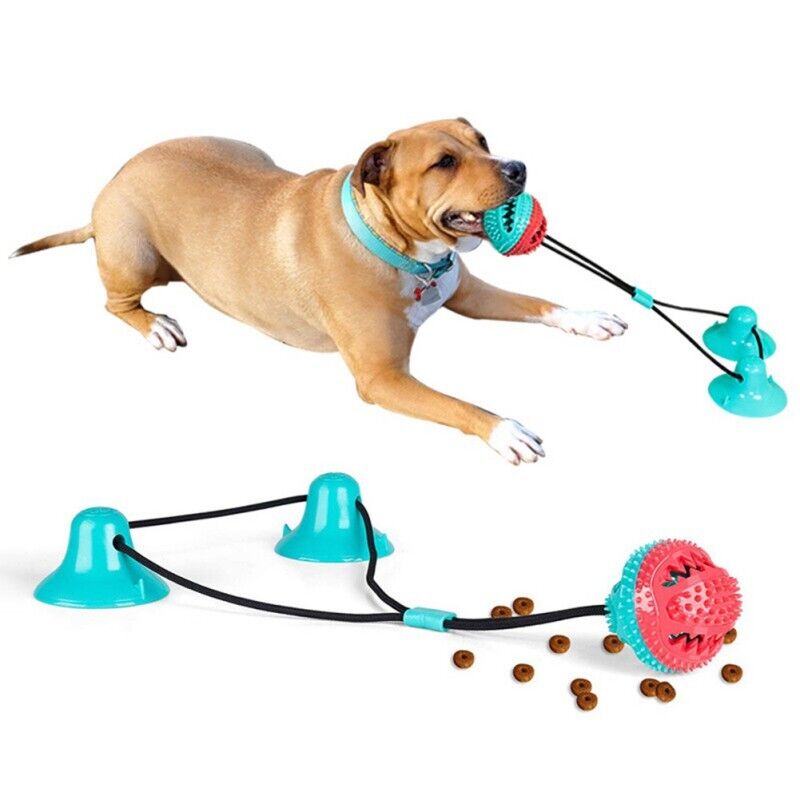 Dog Suction Toy