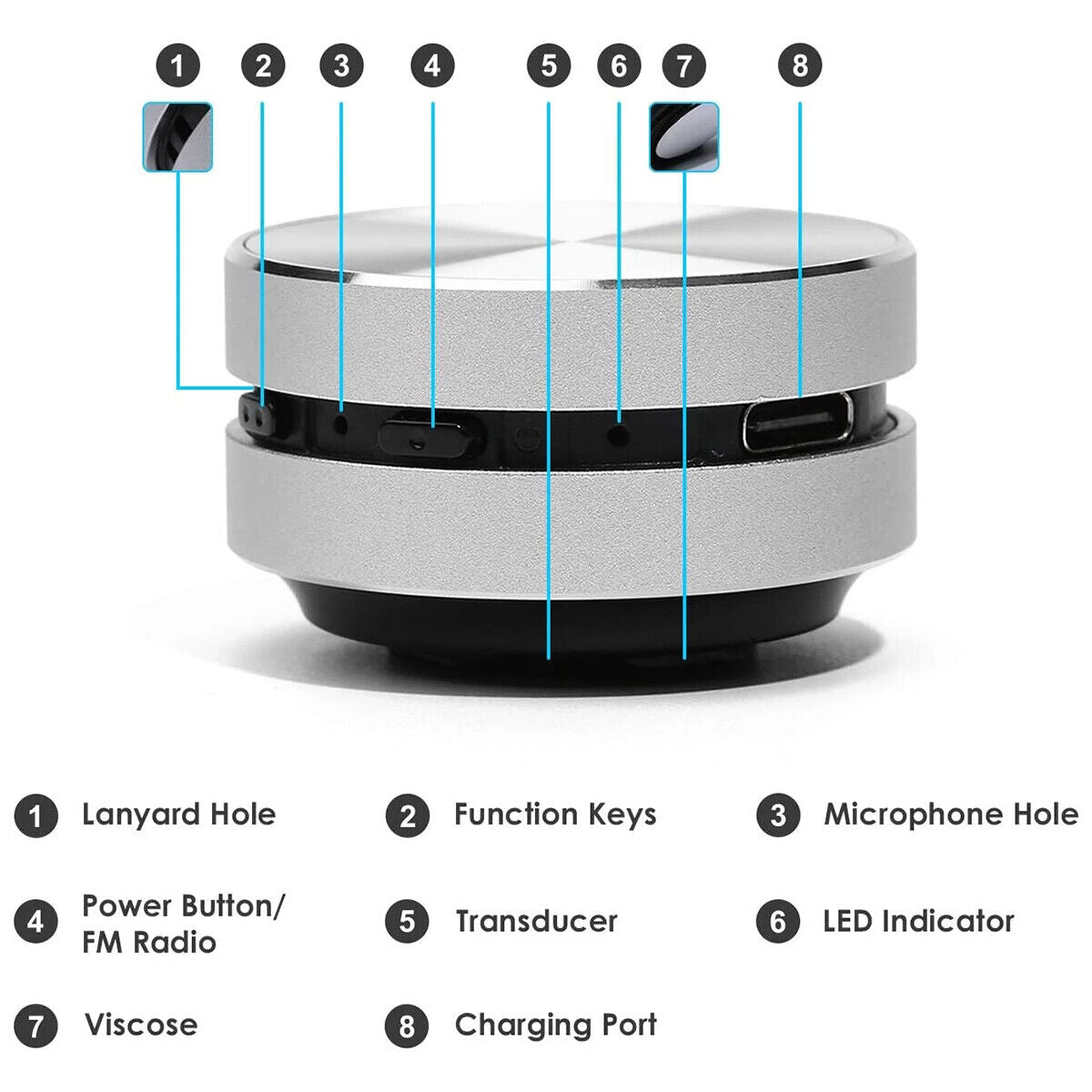 Hummingbird Sound Box