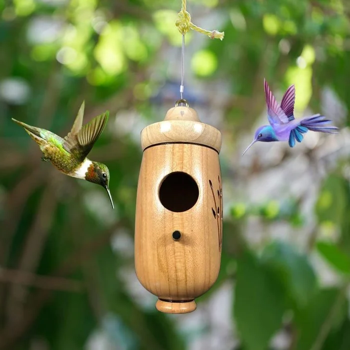 Wooden Hummingbird House - Gift for Natural Lovers – Vernier Store